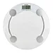 electronic personal body scale